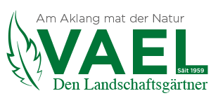 logo vael