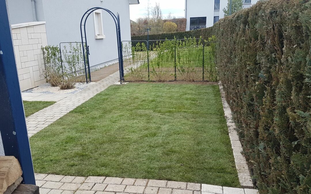 Pose de gazon à Tétange
