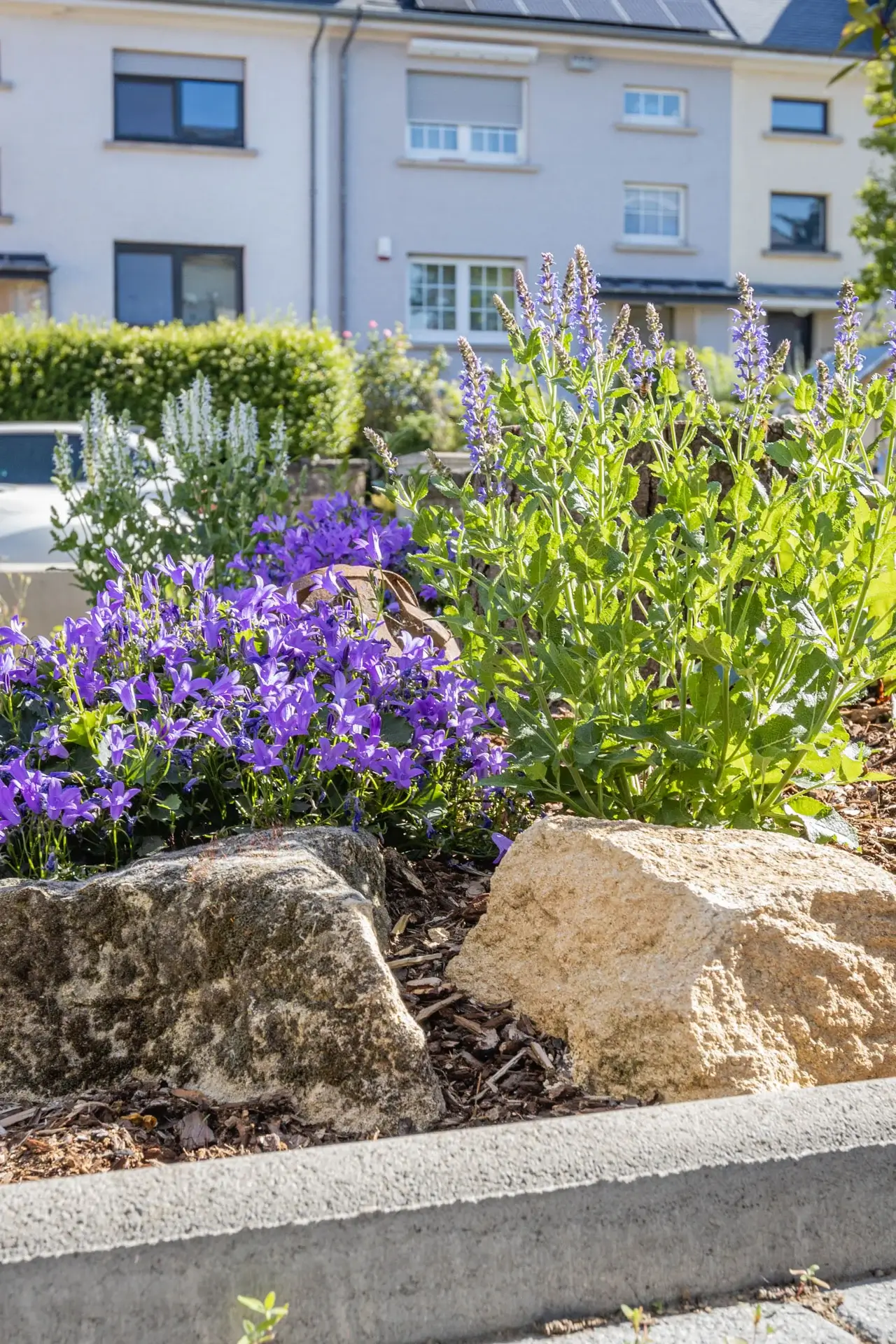 Jardinier au Luxembourg : tous nos conseils pour aménager votre espace extérieur